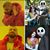 Chris Bermant's profile image