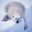 Diego Rufo's profile image