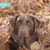 Frank Hamrick Jr.'s profile image