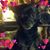 Pamela Roberts's profile image
