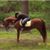 Karen Nallenweg Clasen's profile image