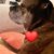Mary Thompson-Veren's profile image