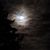 Bell Delaney Cheri's profile image