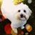 Darlene Keefe Knoph's profile image