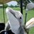 Debbie J Mitchell's profile image