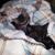 Kelly Munce's profile image