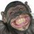 Marino Reyes's profile image
