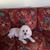 Carolyn C Lewis's profile image