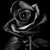 Chago Christina Perez's profile image