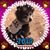 Sandy Weber Schlaud's profile image