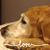 Carolyn Sturm's profile image