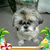 Theresa McCabe's profile image