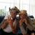 Janice Salek Morgan's profile image