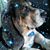 JdsMom Berg's profile image