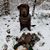 Thomas Goodfellow's profile image