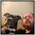 Dave Kent's profile image