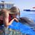 Amy Taylor's profile image