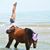 Crystal Schwochert's profile image