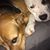 Shari Van Patten's profile image
