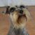 Moraima Santana Rivera's profile image