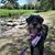 Lori Powers's profile image