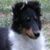 Bella Bagdoian's profile image