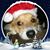 Louise Depietro's profile image