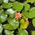 Jeanne Pemberton Tolle's profile image