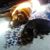 Kimberly Cremen's profile image