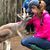 Amy Curlee Lawrence's profile image