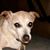 Dana Avery's profile image