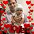 Narmeen Nimroz Ali's profile image