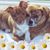 Laurie Texera's profile image