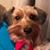 Jerry Bowen's profile image
