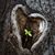 Ellen Buechler's profile image