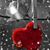 Renee Wray's profile image