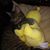 Jennifer Molder's profile image