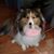 Sheila Vance's profile image