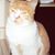 Nancy Allen's profile image