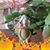 Mary Cree's profile image