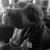 Nancy Youmans Bowen's profile image