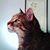 Kelly Duffer's profile image