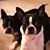 Cindy Clark's profile image