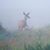 Cory Trombley's profile image