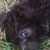 Wanda Morgan's profile image