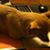 Esther Littlejohn Myers's profile image
