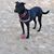 Gordon L Peare's profile image