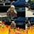 Marilyn McLaughlin's profile image