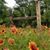 Jeni Hockema Ware's profile image