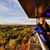 Natalie Gottschalk's profile image